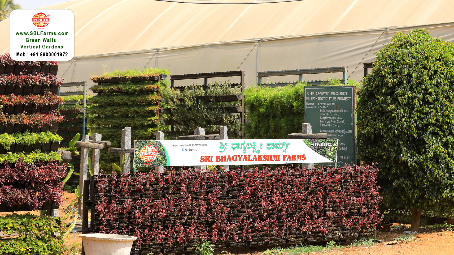 Sbl Farms Green walls and Living walls, Vertical Garden, Bio Curtains,Green wall or vertical garden  for Residence and hotel and resturent in india